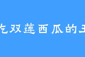 爱吃双莲西瓜的王伯