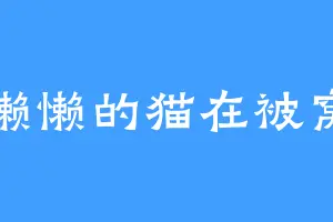 懒懒的猫在被窝