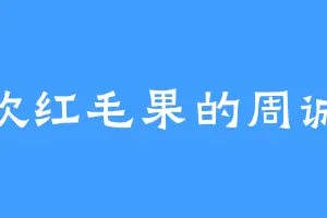 喜欢红毛果的周诚比