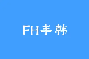 FH丰韩