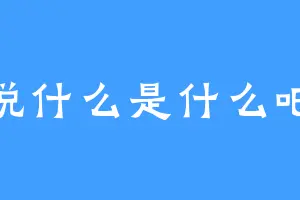 说什么是什么吧