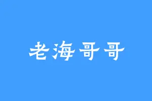 老海哥哥