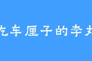 爱吃车厘子的李丸子
