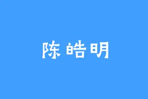 陈皓明