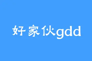 好家伙gdd