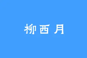 柳西月