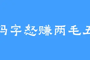 码字怒赚两毛五