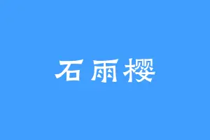 石雨樱