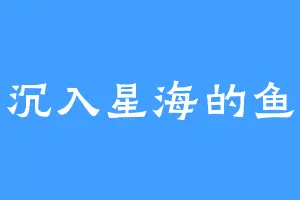 沉入星海的鱼