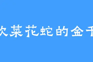 喜欢菜花蛇的金千斩