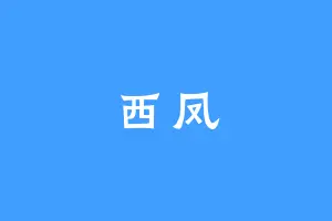 西凤