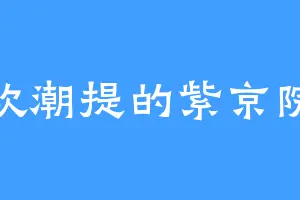 喜欢潮提的紫京院响