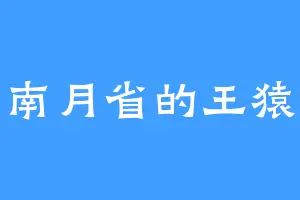 南月省的王猿