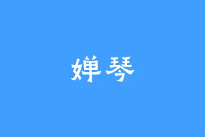 婵琴
