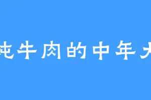 爱炖牛肉的中年大叔