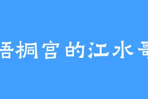 梧桐宫的江水哥