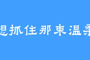 想抓住那束温柔