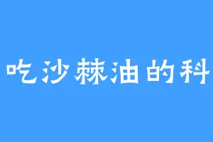 爱吃沙棘油的科特