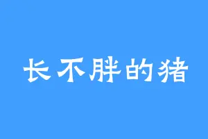 长不胖的猪