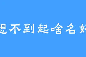 想不到起啥名好