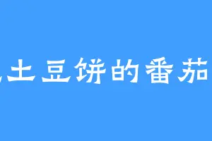 吃土豆饼的番茄酱