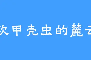 喜欢甲壳虫的麓云国