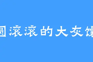 圆滚滚的大灰馕