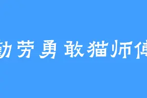 勤劳勇敢猫师傅