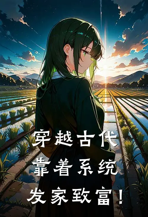 穿越古代靠着系统，发家致富！