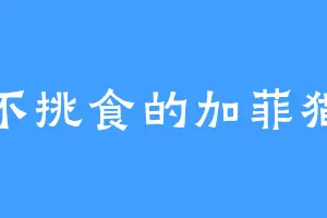 不挑食的加菲猫