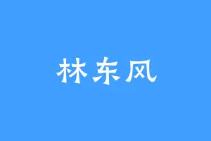 林东风