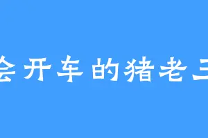 会开车的猪老三