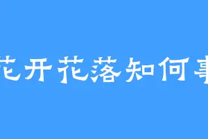 花开花落知何事