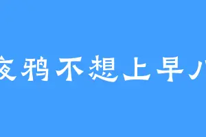 夜鸦不想上早八