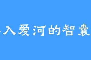 不入爱河的智囊团