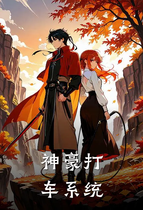 神豪打车系统