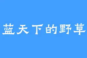 蓝天下的野草