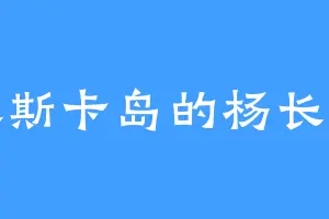基斯卡岛的杨长老