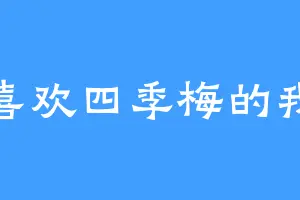 喜欢四季梅的我