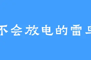 不会放电的雷鸟