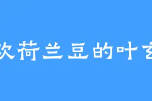 喜欢荷兰豆的叶玄一