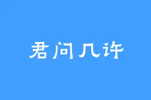 君问几许