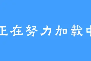 正在努力加载中
