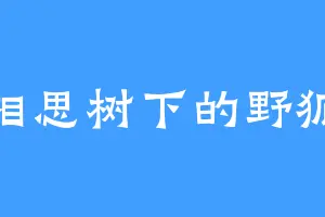相思树下的野狐