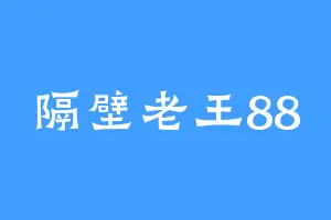 隔壁老王88