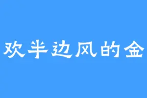 喜欢半边风的金洲