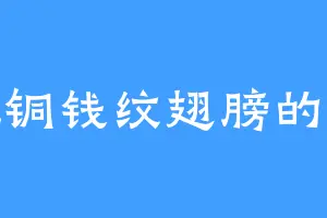 红色铜钱纹翅膀的蝴蝶