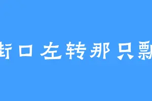 街口左转那只飘