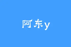 阿东y