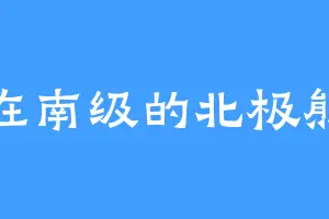 在南级的北极熊